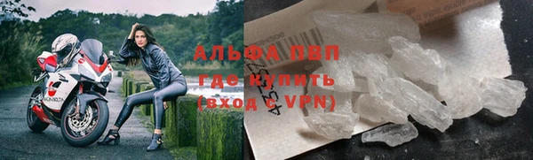 спайс Вяземский