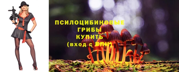 прущие грибы Переславль-Залесский