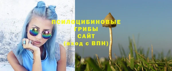 спайс Вяземский