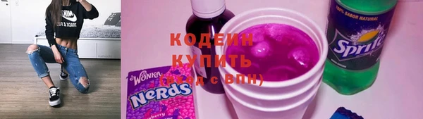 прущие грибы Переславль-Залесский
