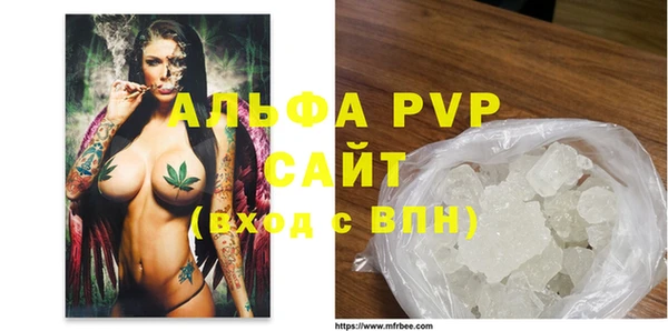 прущие грибы Переславль-Залесский