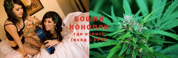 спайс Вяземский